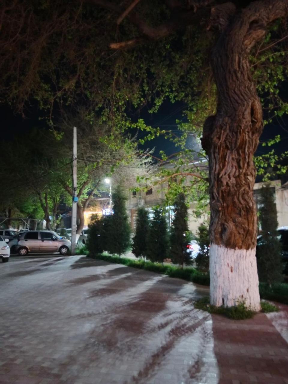 Gulsara Hostel Samarkand Exterior photo